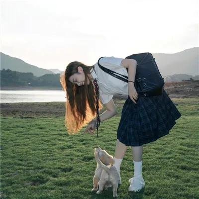 玫瑰的战争